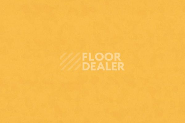 Линолеум Taralay Premium Comfort OSMOZ 8255 GOLDEN SUNSET фото 1 | FLOORDEALER